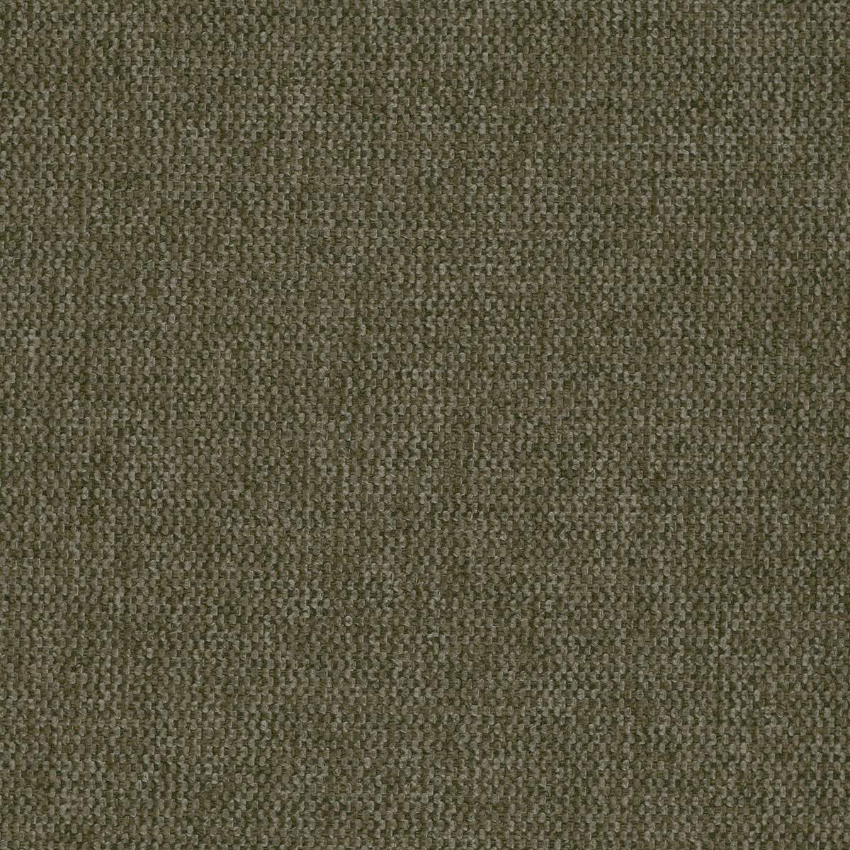 Farbe Brego 77 Olive