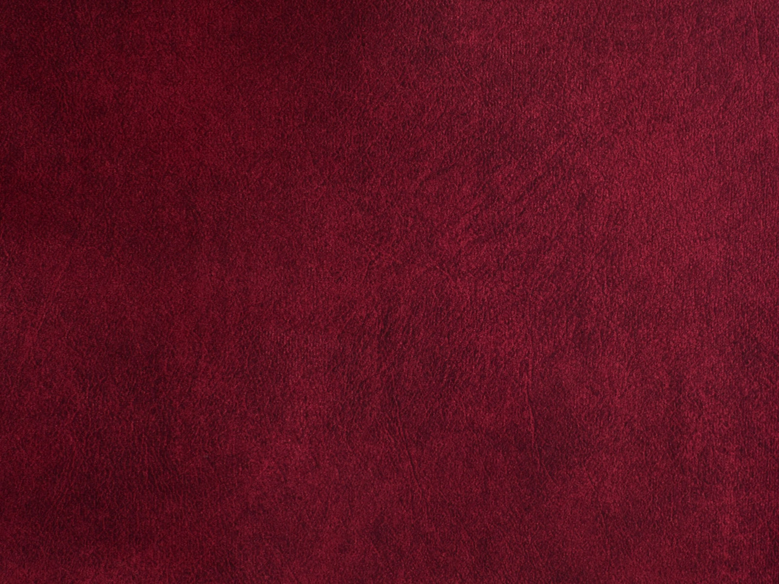 Farbe Salvador 06 Burgund