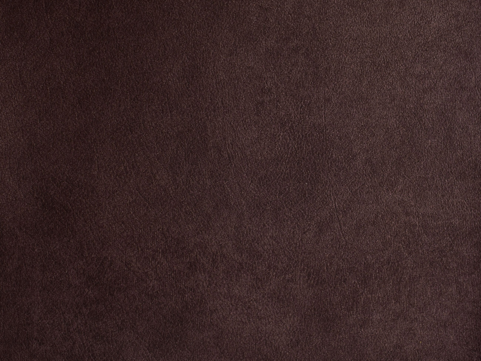 Farbe Salvador 05 Aubergine