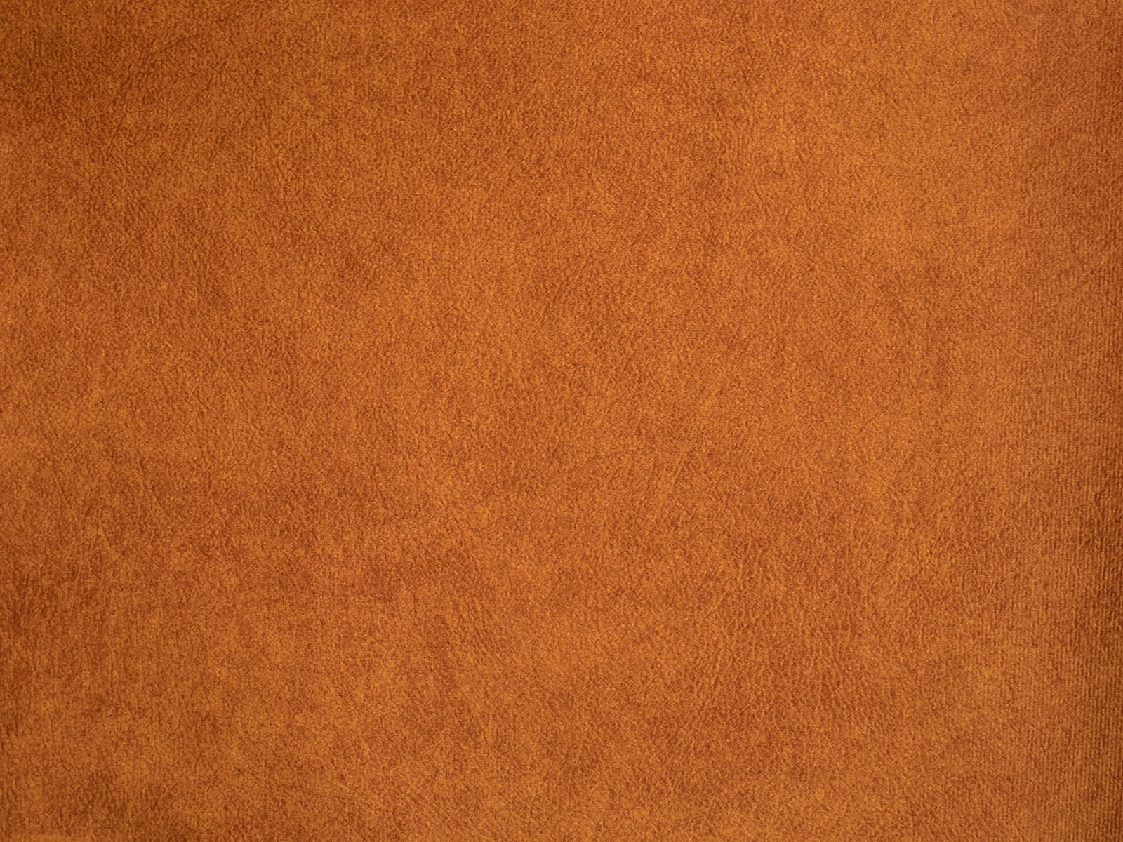 Farbe Salvador 08 Amber