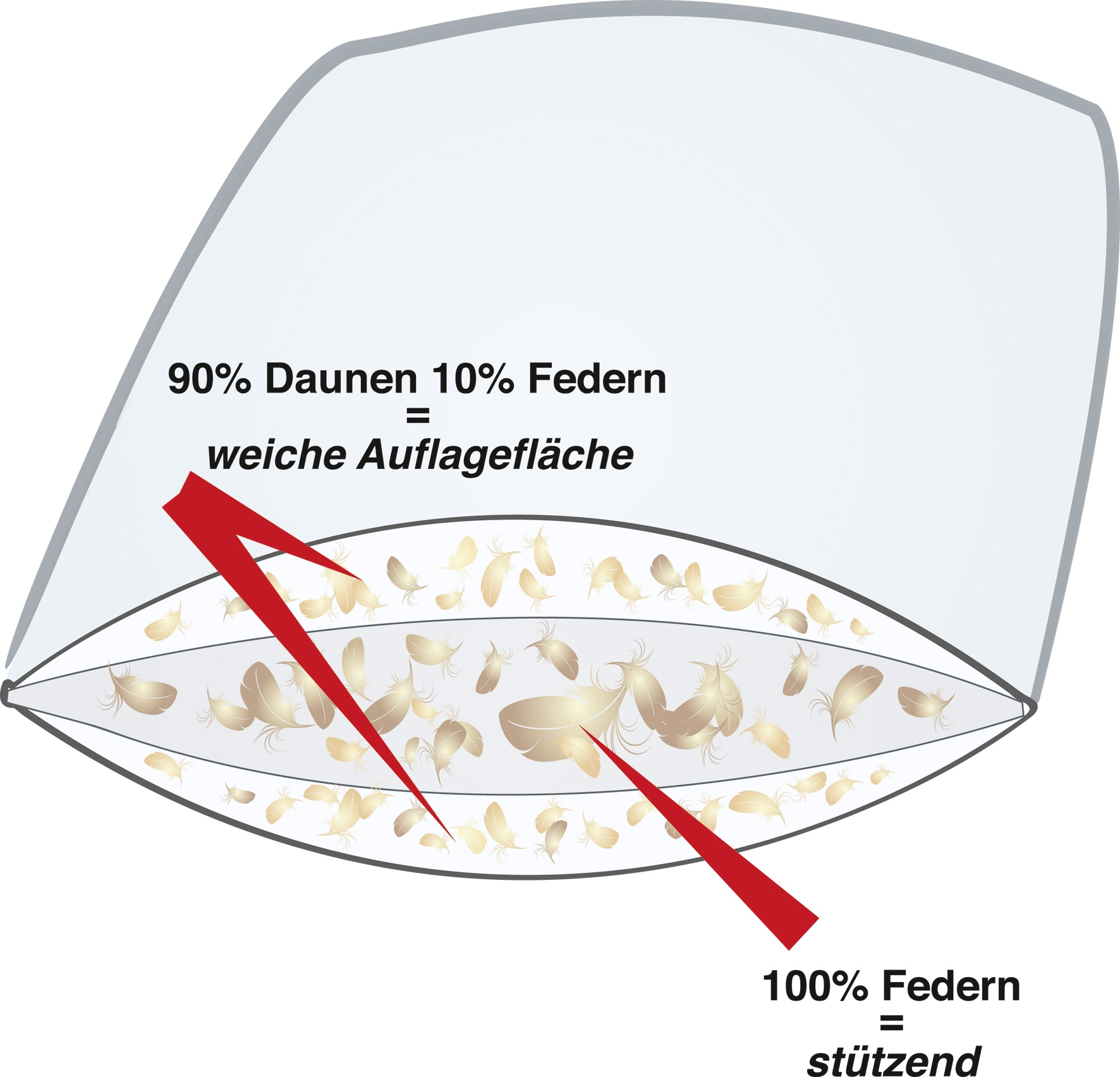 Querschnitt