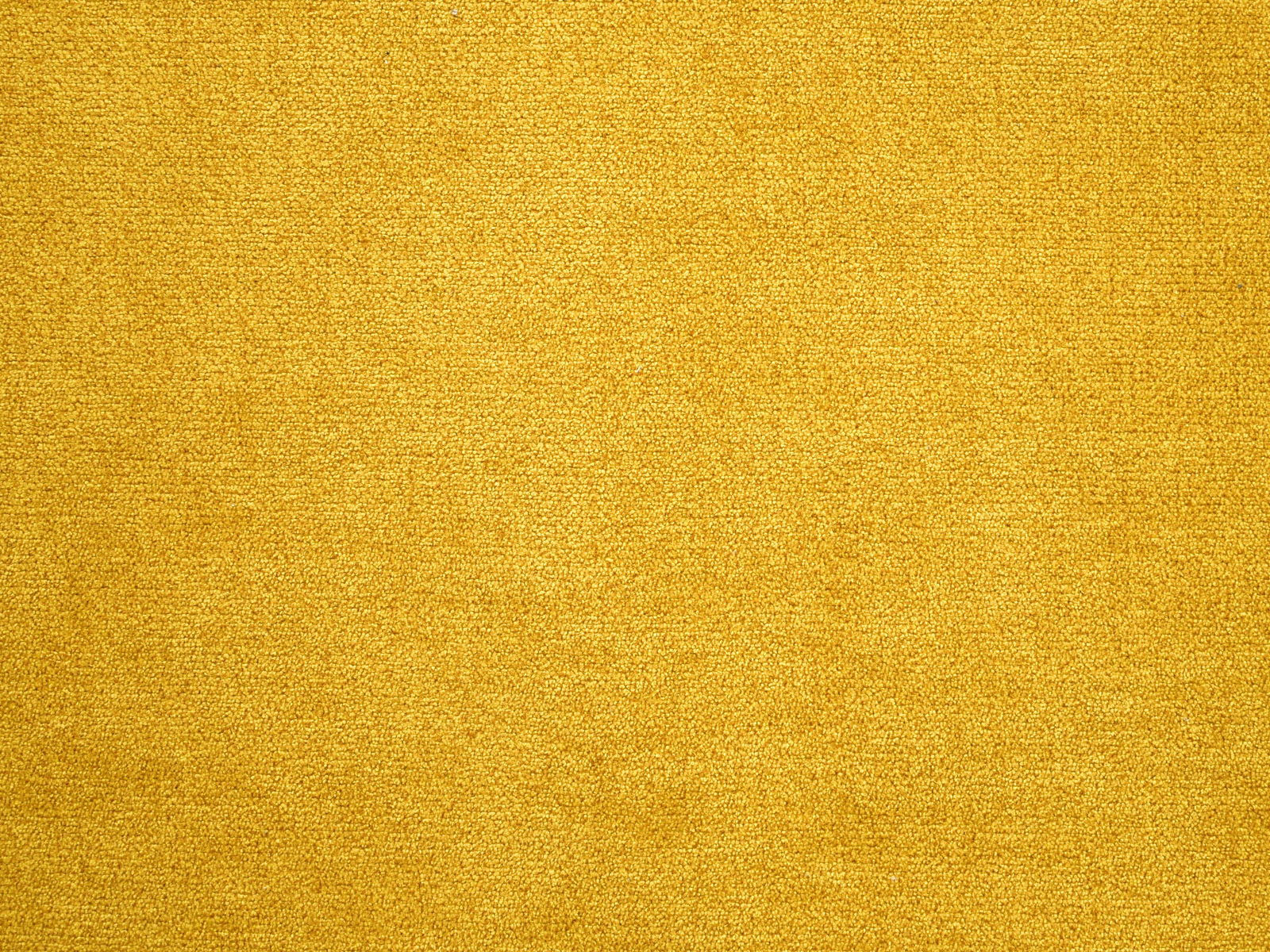 Farbe Senf
