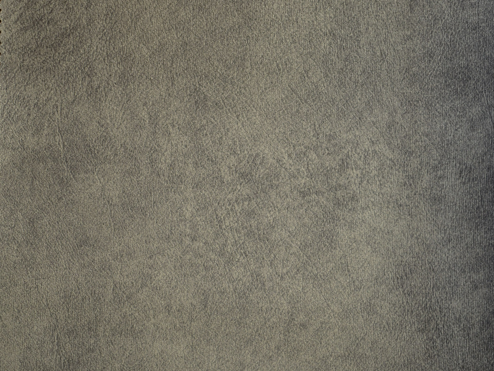 Farbe Salvador 14 Grey